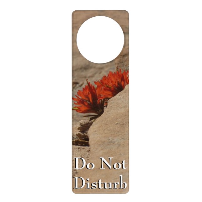 Indian Paintbrush in Rocks at Zion Door Hanger (Front)