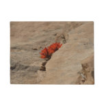 Indian Paintbrush in Rocks at Zion Doormat