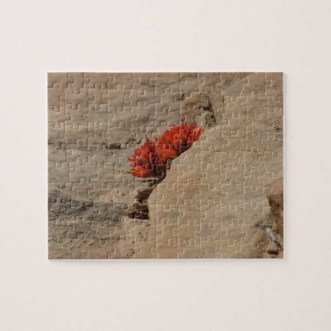 Indian Paintbrush in Rocks at Zion Jigsaw Puzzle (Horizontal)