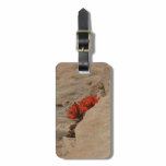 Indian Paintbrush in Rocks at Zion Luggage Tag