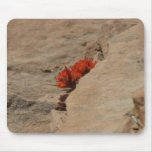 Indian Paintbrush in Rocks at Zion Mouse Pad