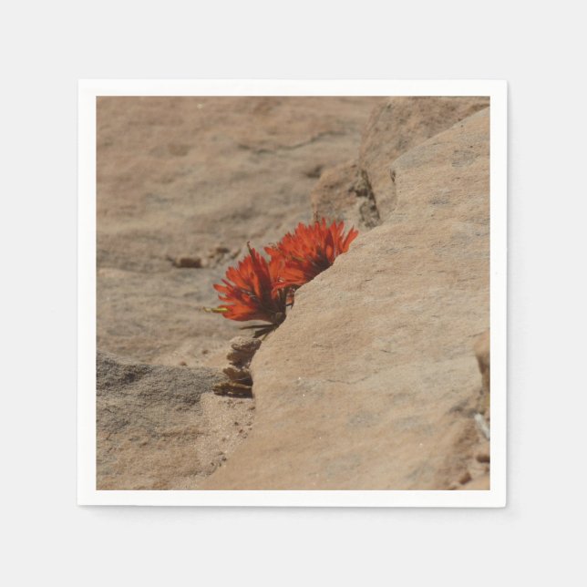 Indian Paintbrush in Rocks at Zion Napkins (Front)
