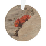 Indian Paintbrush in Rocks at Zion Ornament