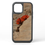 Indian Paintbrush in Rocks at Zion OtterBox Symmetry iPhone 12 Pro Case