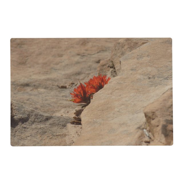 Indian Paintbrush in Rocks at Zion Placemat (Front)