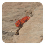 Indian Paintbrush in Rocks at Zion Square Sticker