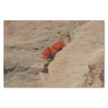 Indian Paintbrush in Rocks at Zion Tissue Paper