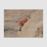 Indian Paintbrush in Rocks at Zion Tissue Paper