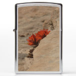Indian Paintbrush in Rocks at Zion Zippo Lighter