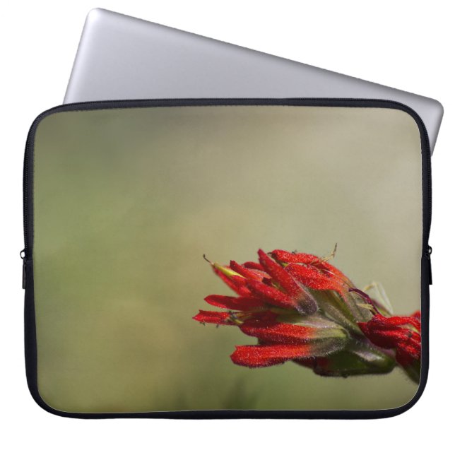 Indian Paintbrush Laptop Sleeve (Front)