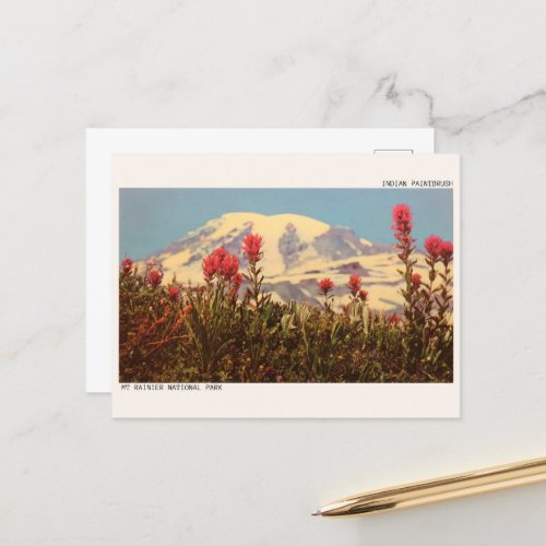 INDIAN PAINTBRUSH Mt rainer National park gifts Postcard