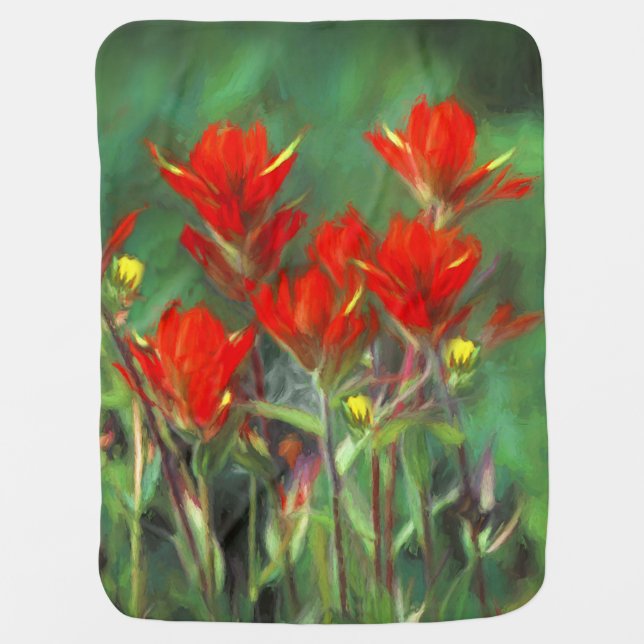 Indian Paintbrush Painting - Original Flower Art Baby Blanket (Front)