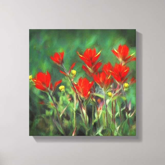 Indian Paintbrush Painting - Original Flower Art Canvas Print (Front)