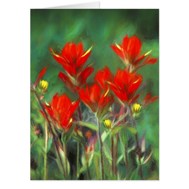 Indian Paintbrush Painting - Original Flower Art Card (Front)
