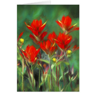 Indian Paintbrush Painting - Original Flower Art Cards