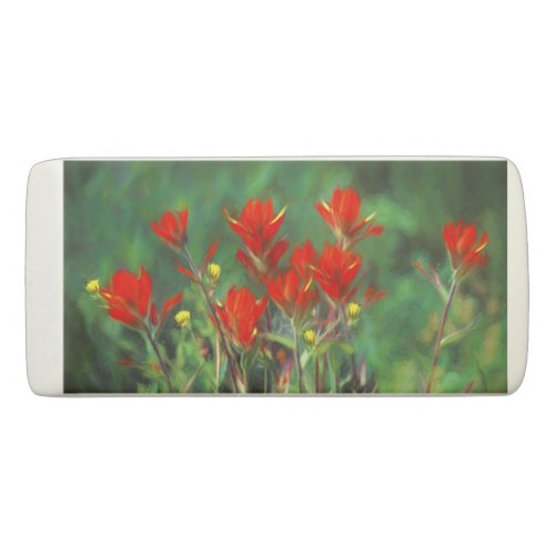 Indian Paintbrush Painting _ Original Flower Art Eraser