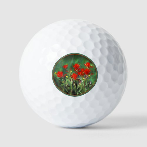 Indian Paintbrush Painting _ Original Flower Art Golf Balls