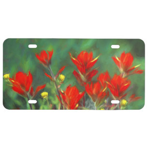 Indian Paintbrush Painting - Original Flower Art License Plate