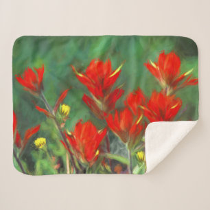 Indian Paintbrush Painting - Original Flower Art Sherpa Blanket