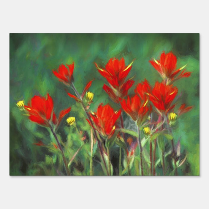 Indian Paintbrush Painting Indian Paintbrush Painting
