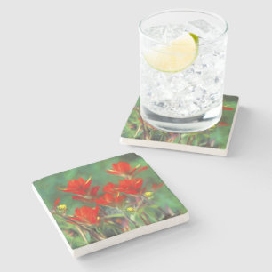 Indian Paintbrush Painting - Original Flower Art Stone Coaster
