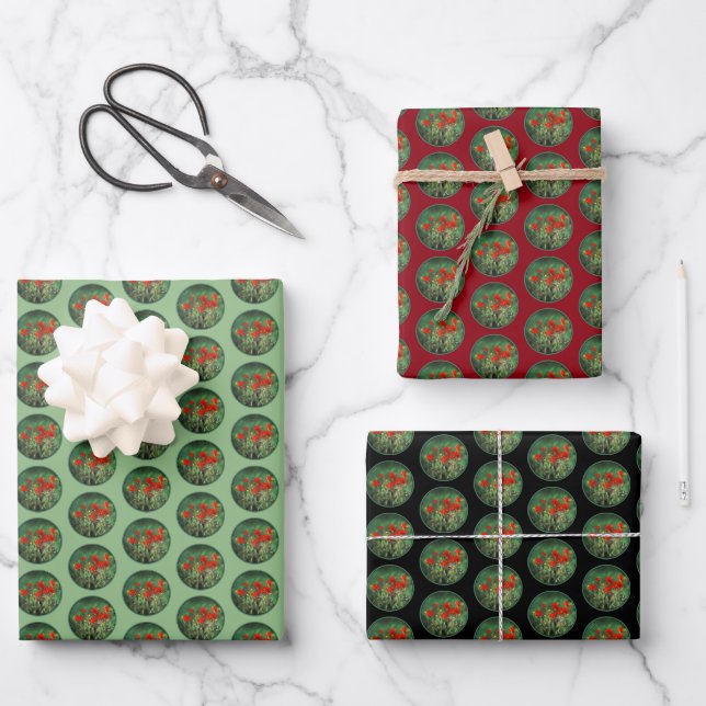Indian Paintbrush Painting - Original Flower Art Wrapping Paper Sheets (Front)