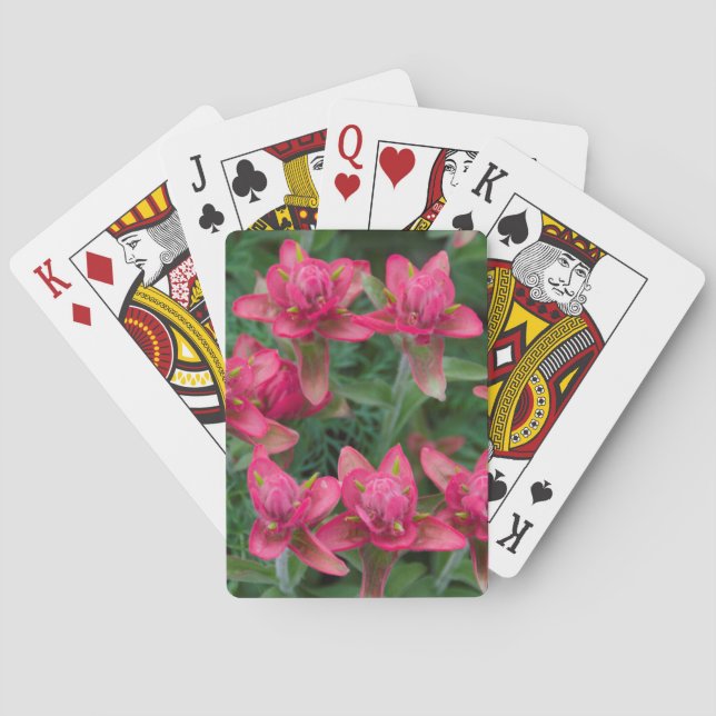 Indian Paintbrush Poker Cards (Back)