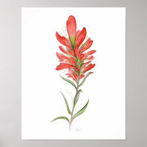 Indian Paintbrush Red Wildflower Art Poster