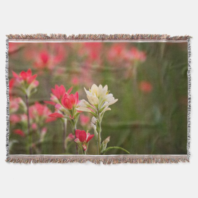 Indian Paintbrush Throw Blanket (Front)