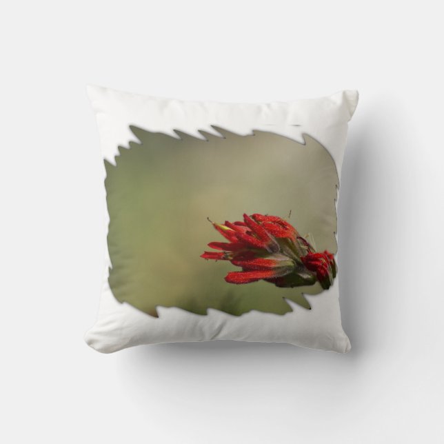 Indian Paintbrush Wide White Edge Throw Pillow (Front)