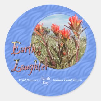 Indian Paintbrush Wildflower Stickers