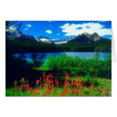 Indian Paintbrush Wildflowers (Front Horizontal)