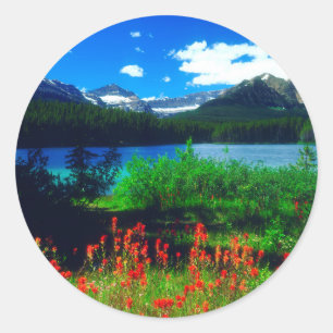 Indian Paintbrush Wildflowers Classic Round Sticker