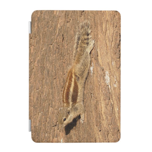 Indian Palm Squirrel on a Tree Trunk iPad Mini Cover (Front)