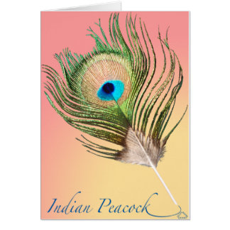 Indian Peacock Tail Cards