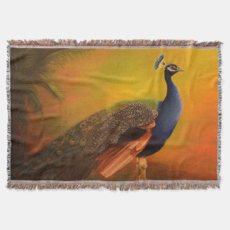 Indian Peacock