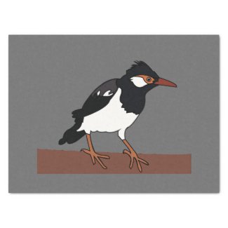 Indian Pied Myna Bird Art