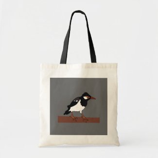 Indian Pied Myna Bird Art