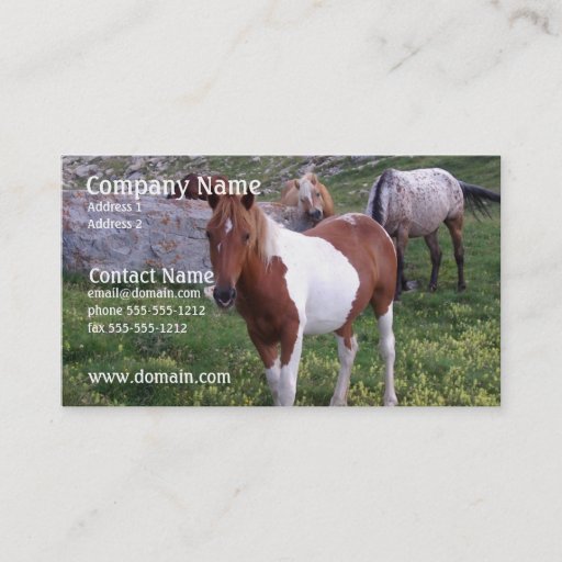 Customizable Indian Pony Business Card