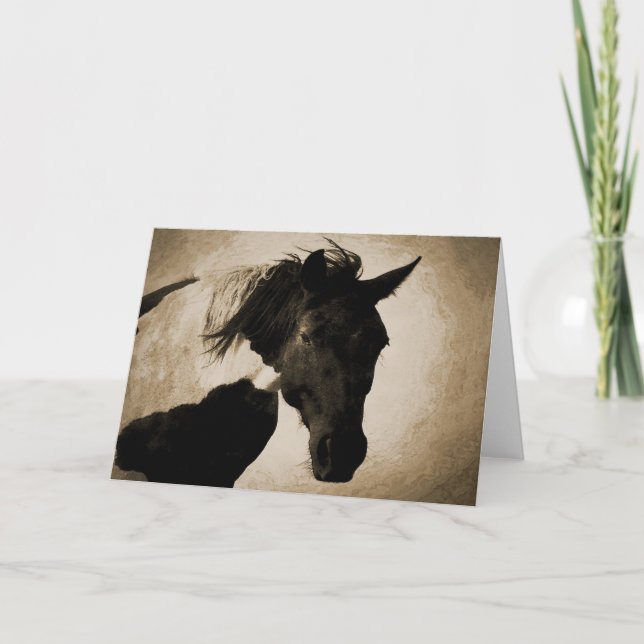 Indian Pony Greeting Card (Front)
