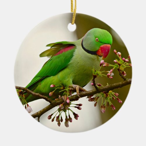 Indian ring_neck Parrot Ceramic Ornament