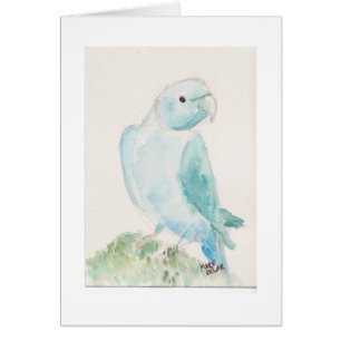 Indian ringneck parakeet cards