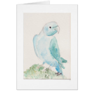 Indian ringneck parakeet cards