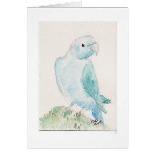 Indian ringneck parakeet cards (Front)