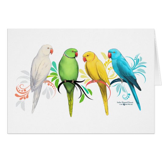Indian Ringneck Parrots Cards (Front Horizontal)