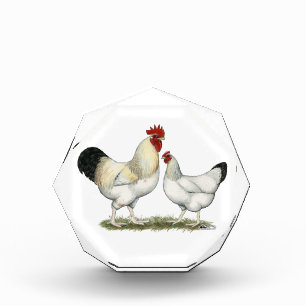 Indian River Chickens Acrylic Award