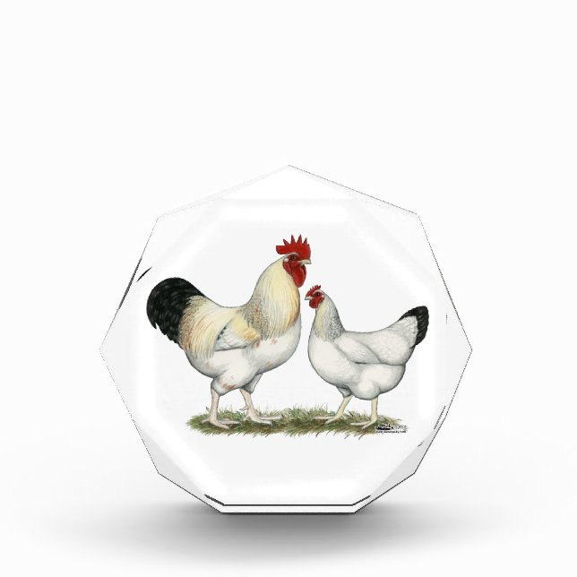 Indian River Chickens Acrylic Award (Front)