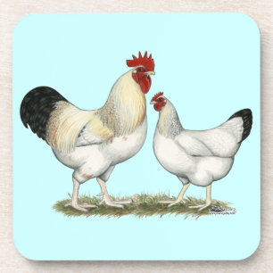 Indian River Chickens Drink Coaster
