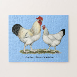 Indian River Chickens Jigsaw Puzzle