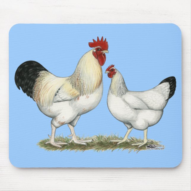 Indian River Chickens Mouse Pad (Front)